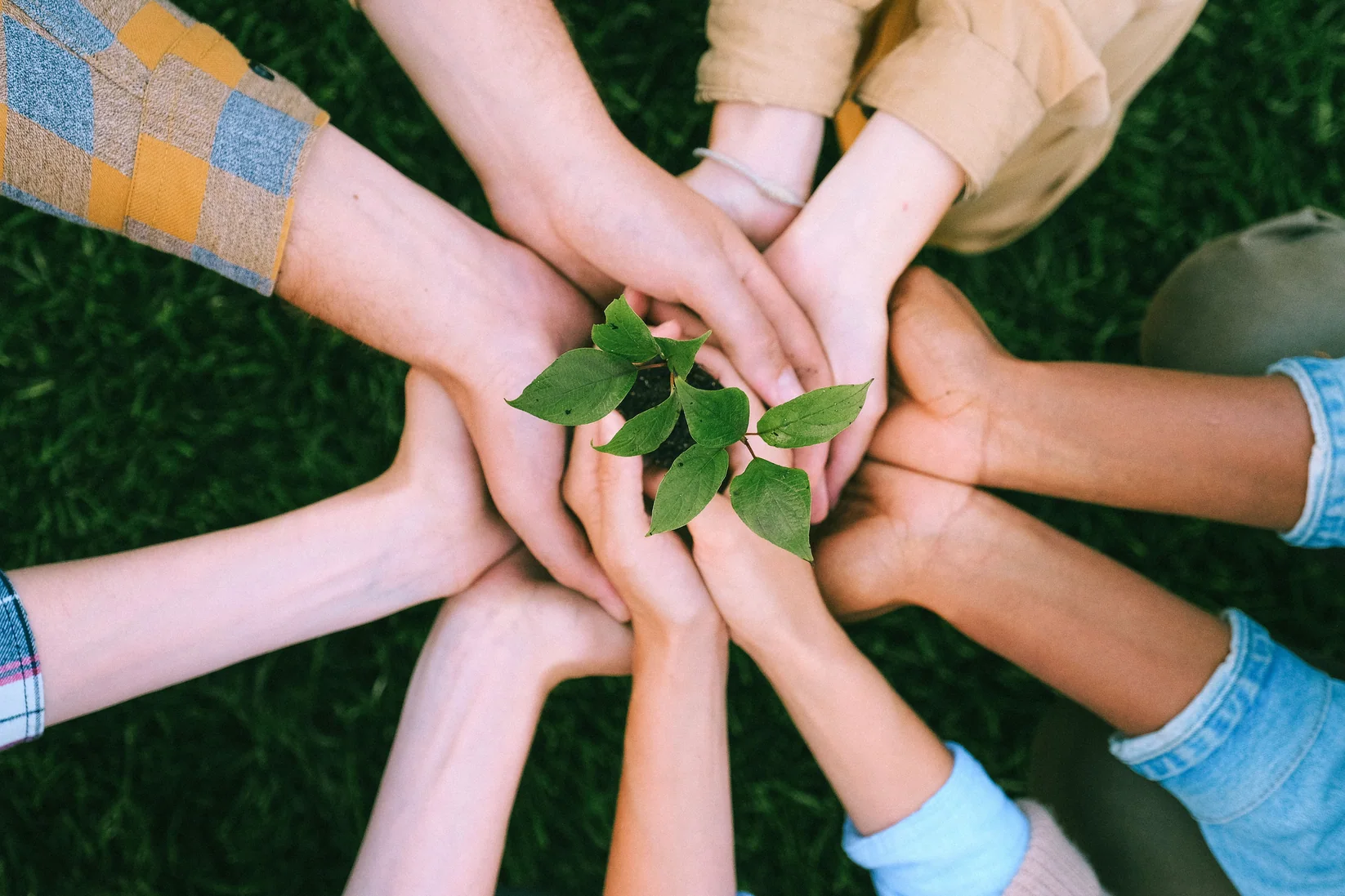 Eco-friendly packaging materials and paper packaging direction
